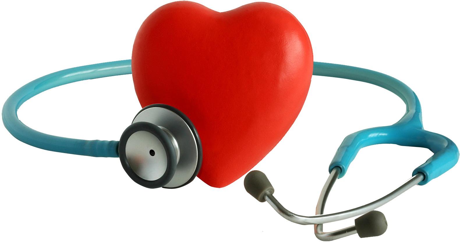 Почему беспокоит учащенное сердцебиение при беременности? Учащенное сердцебиение при беременности