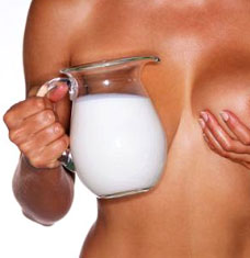 Считается, что цикорий при грудном кормлении усиливает лактацию