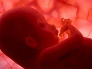 Тремор у новорожденного возникает из-за незрелости нервной системы