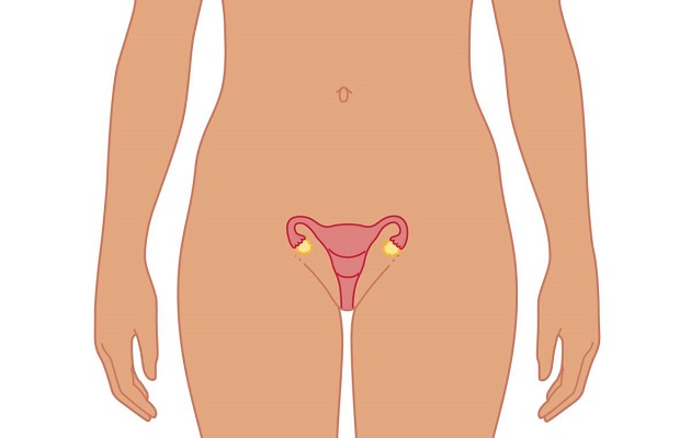 Cокращение матки после родов: как помочь процессу? Сокращение матки после родов - это естественный процесс