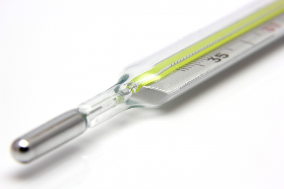 Температура при беременности: какая она в норме и о чем говорит ее повышение? Базальная температура при беременности имеет важное значение