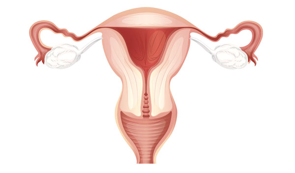 Выворот матки при родах: что это за патология и как от нее избавиться? Выворот матки при родах - очень редкая патология