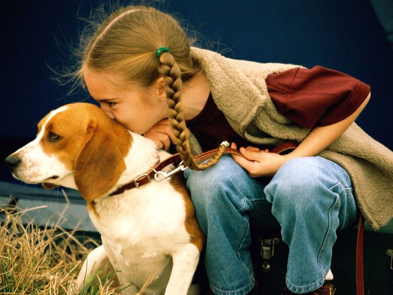 Что такое бешенство, какие у него симптомы, чем опасно для детей Ребенок с собакой