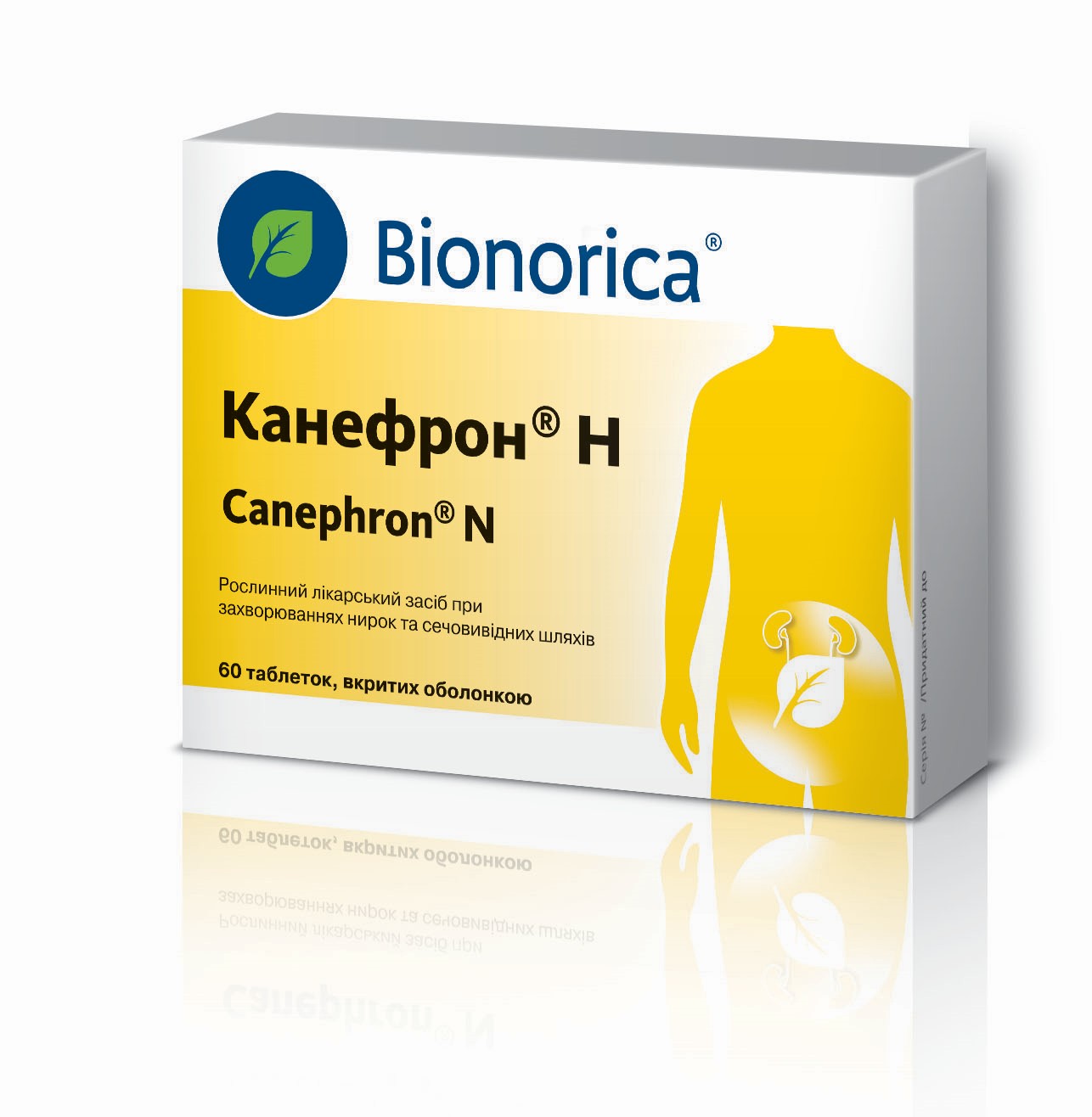 Выбираем мочегонное средство для беременных Канефрон