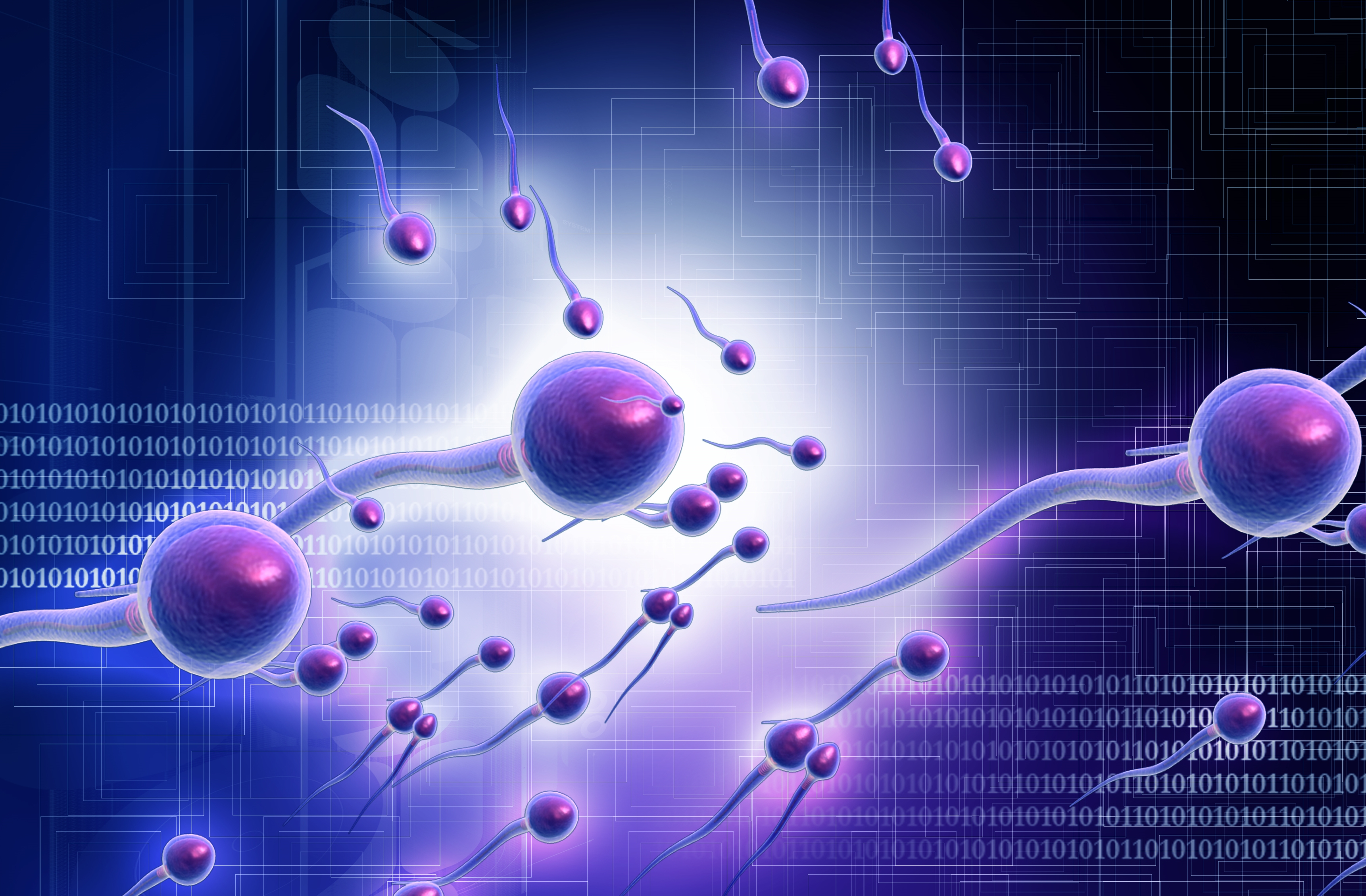 Как сдавать спермограмму: подготовка и правила сдачи в кабинете и домашних условиях