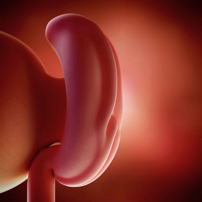 Рвота желчью у ребенка без температуры и поноса: что делать в этой ситуации?