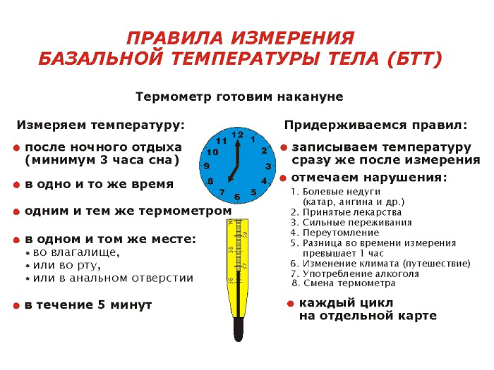 Правила измерения базальной температуры