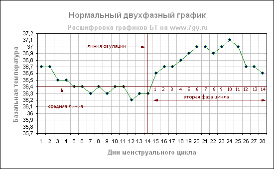 Базальная температура при овуляции: какая должна быть, как правильно измерять и вести график?