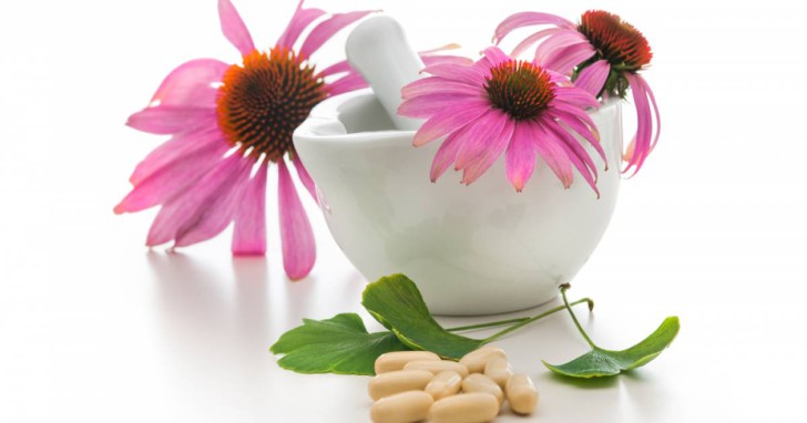 Эхинацея для детей (сироп, настойка) для иммунитета: инструкция по применению, лечебные свойства