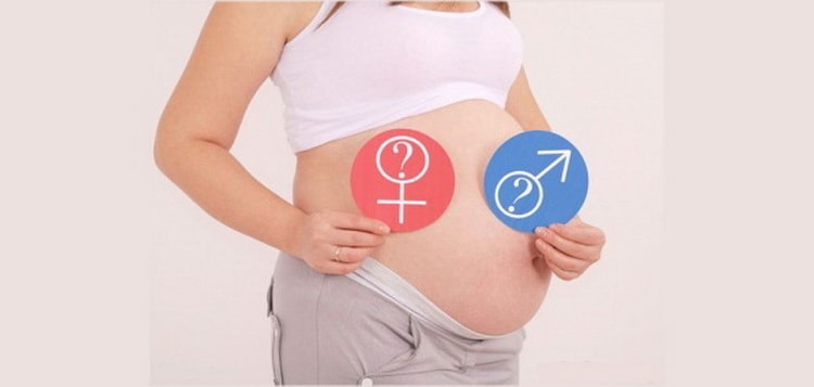  как можно определить мальчик или девочка при беременности