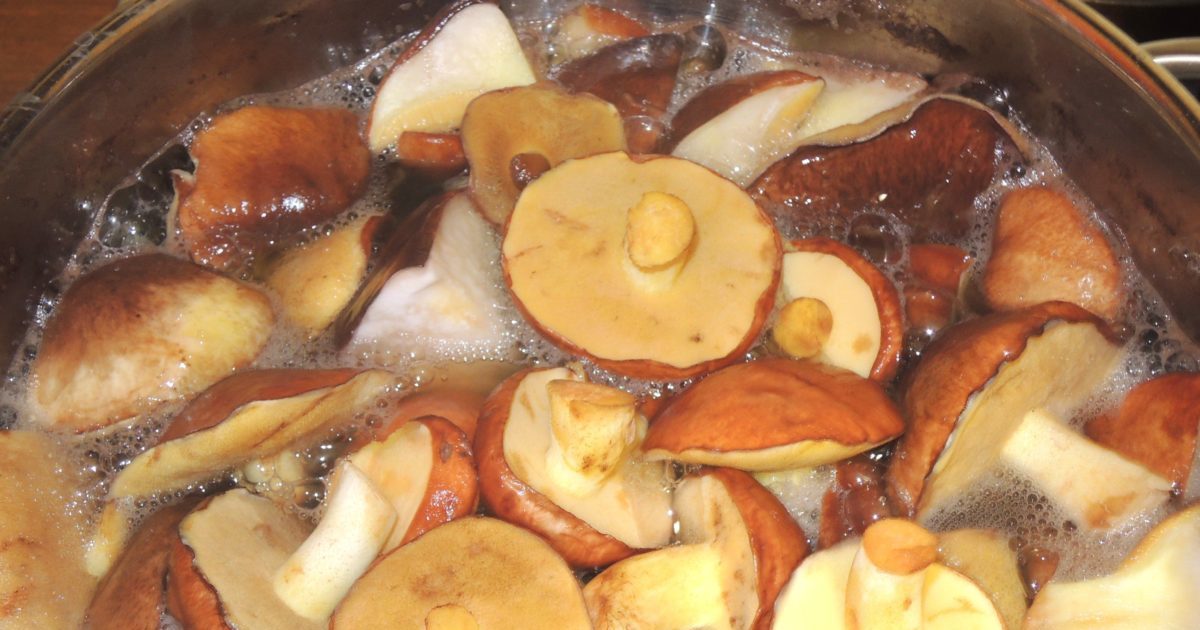 Можно ли беременным грибы и почему нельзя их есть женщинам на ранних и поздних сроках?