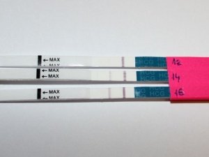 таблица хгч при беременности по неделям