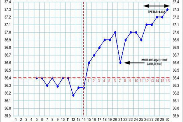 Имплантационное западение базальной температуры: на какой день цикла происходит, сколько градусов?