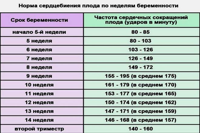 Как по сердцебиению определить пол ребенка в 12 недель с использованием таблицы ЧСС плода?