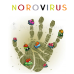 Норовирус — симптомы и лечение