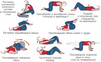 Схема упражнений для спины