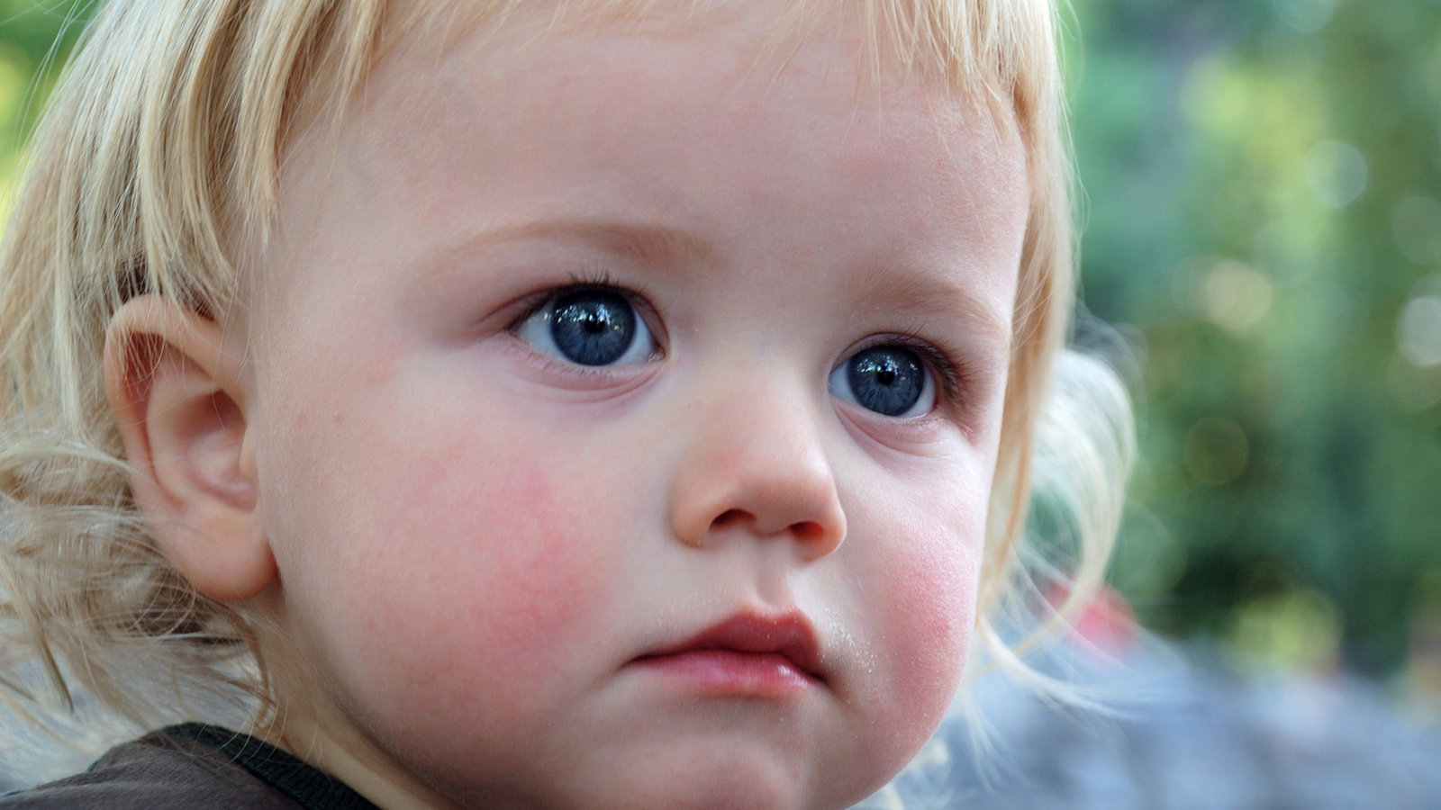 Зодак или Зиртек — что лучше для ребенка и в чем разница между препаратами?
