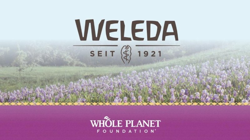 Weleda: масло от растяжек