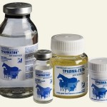 Травматин – помощь при травмах у собак