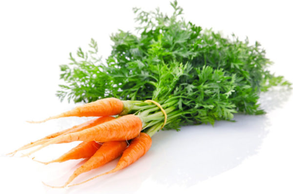 Форма и цвет моркови свидетельствуют о ее качестве