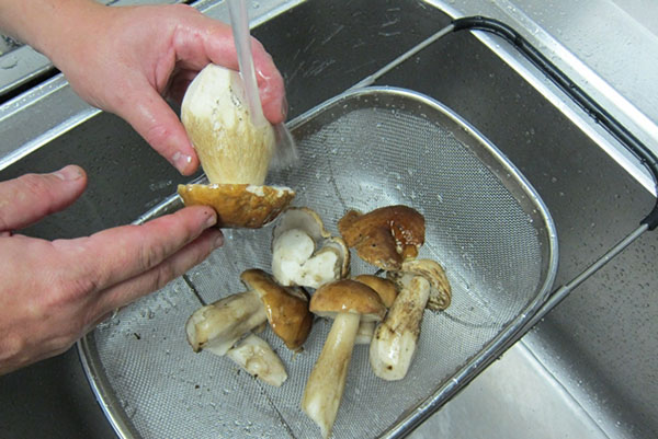 Обработка грибов