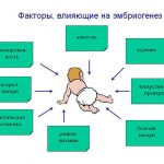 Планирование беременности: что нужно для зачатия здорового ребенка