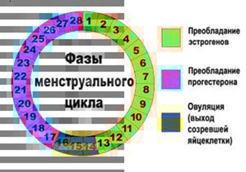 Методы зачатия мальчика