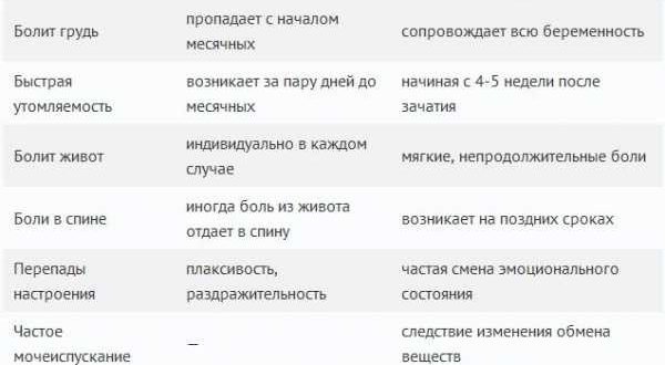 ПМС или беременность: как различить до задержки, какие бывают симптомы на ранних сроках?