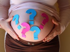 Методы определения пола ребенка: тест на беременность или УЗИ