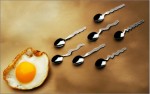 Яйцеклетка и овуляция: как много тайн в одной процессе