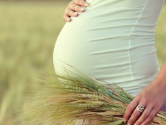 Боровая матка помогает забеременеть: показания и противопоказания к использованию