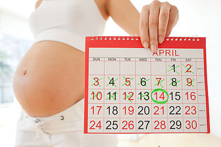 рассчитать дату родов по месячным