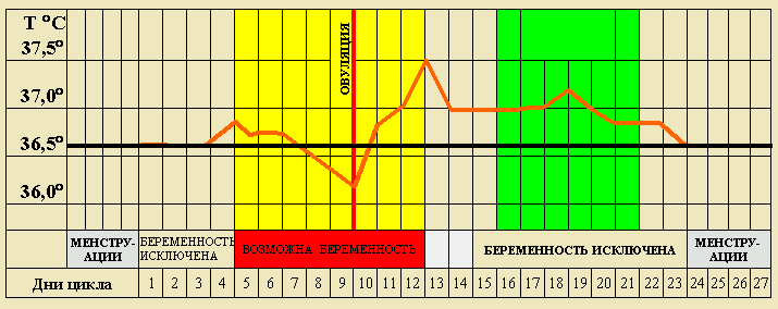 График цикла