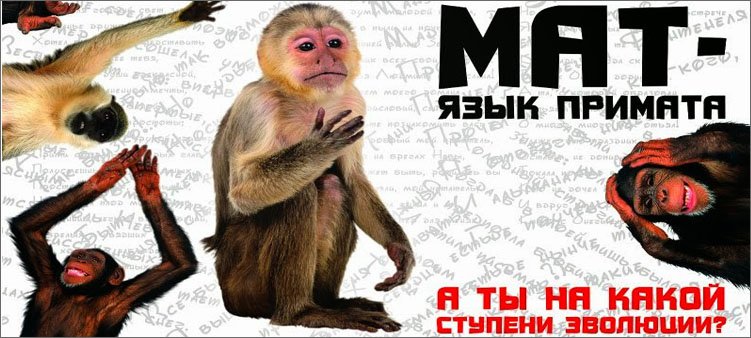 плакат-мат-язык-приматов