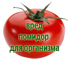 вред помидор для организма