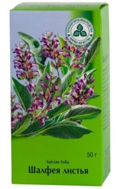 Шалфей для зачатия: как принимать, чтобы забеременеть, и есть ли противопоказания?