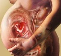 От чего происходят запоры - физиология беременности