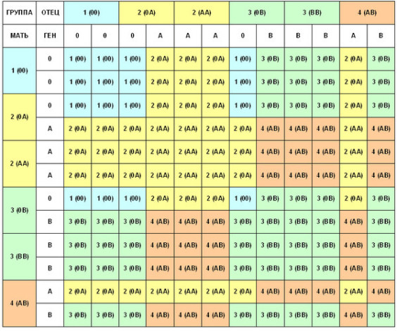 Таблица 1. Возможные варианты группы крови реьенка в зависимости от группы крови родителей
