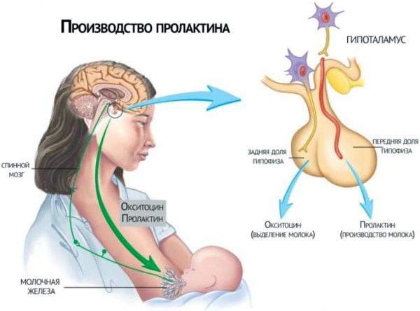 схема