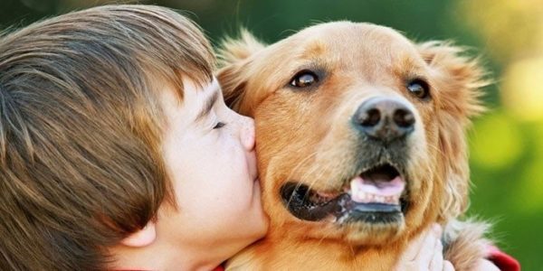 Можно ли заразиться глистами от собаки читайте статью