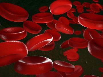 Средняя концентрация гемоглобина в крови