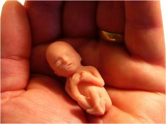 Ребенок в 12 недель беременности: развитие, размеры, ощущения матери