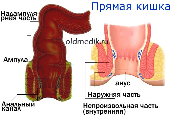 Выпадение прямой кишки у детей: причины, симптомы, диагностика и лечение
