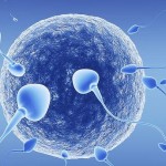 9 самых распространенных мифов о зачатии. Правда или вымысел?