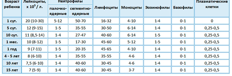 Лимфоциты у ребенка понижены — о чем это говорит, почему уровень клеток в крови меньше нормы?