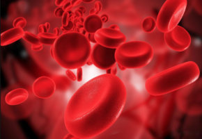 Гемофилия: что это за болезнь и чем она опасна?