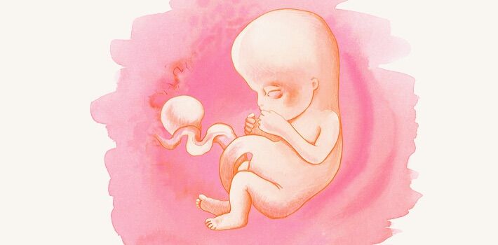 10 неделя беременности: что происходит с малышом и мамой, каково развитие плода и ощущения женщины?