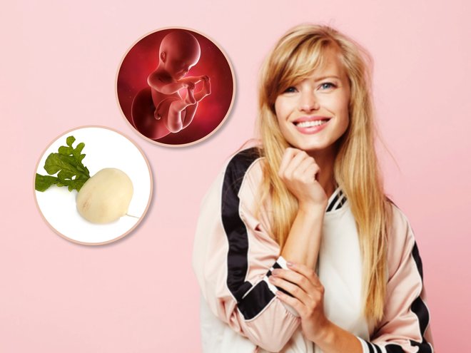 24 неделя беременности: что происходит с малышом и мамой, как развивается плод?