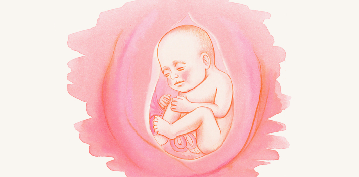 32 неделя беременности: что происходит с мамой и малышом, как развивается плод?