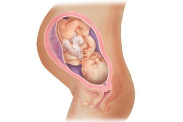 36 неделя беременности: что происходит с мамой и малышом, можно ли рожать на этом сроке?